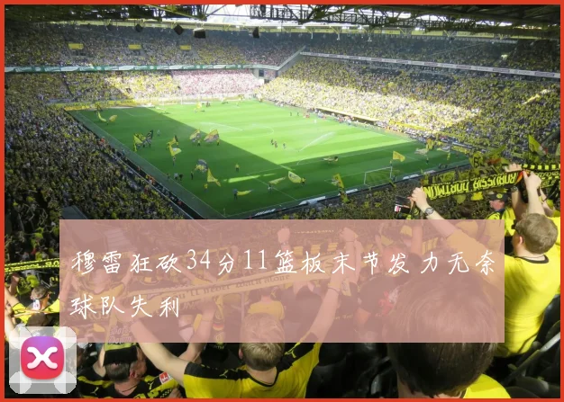 穆雷狂砍34分11篮板末节发力无奈球队失利